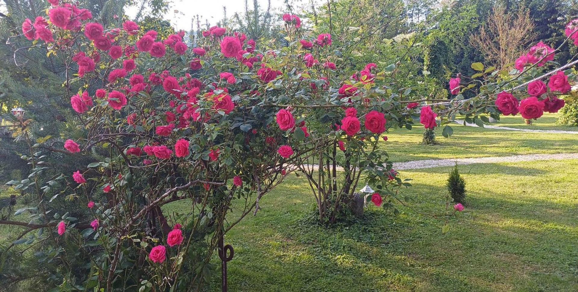 Edenski Vrt Ivancna Gorica Buitenkant foto