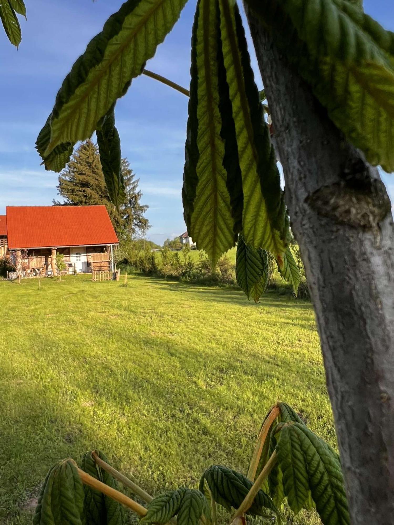 Edenski Vrt Ivancna Gorica Buitenkant foto