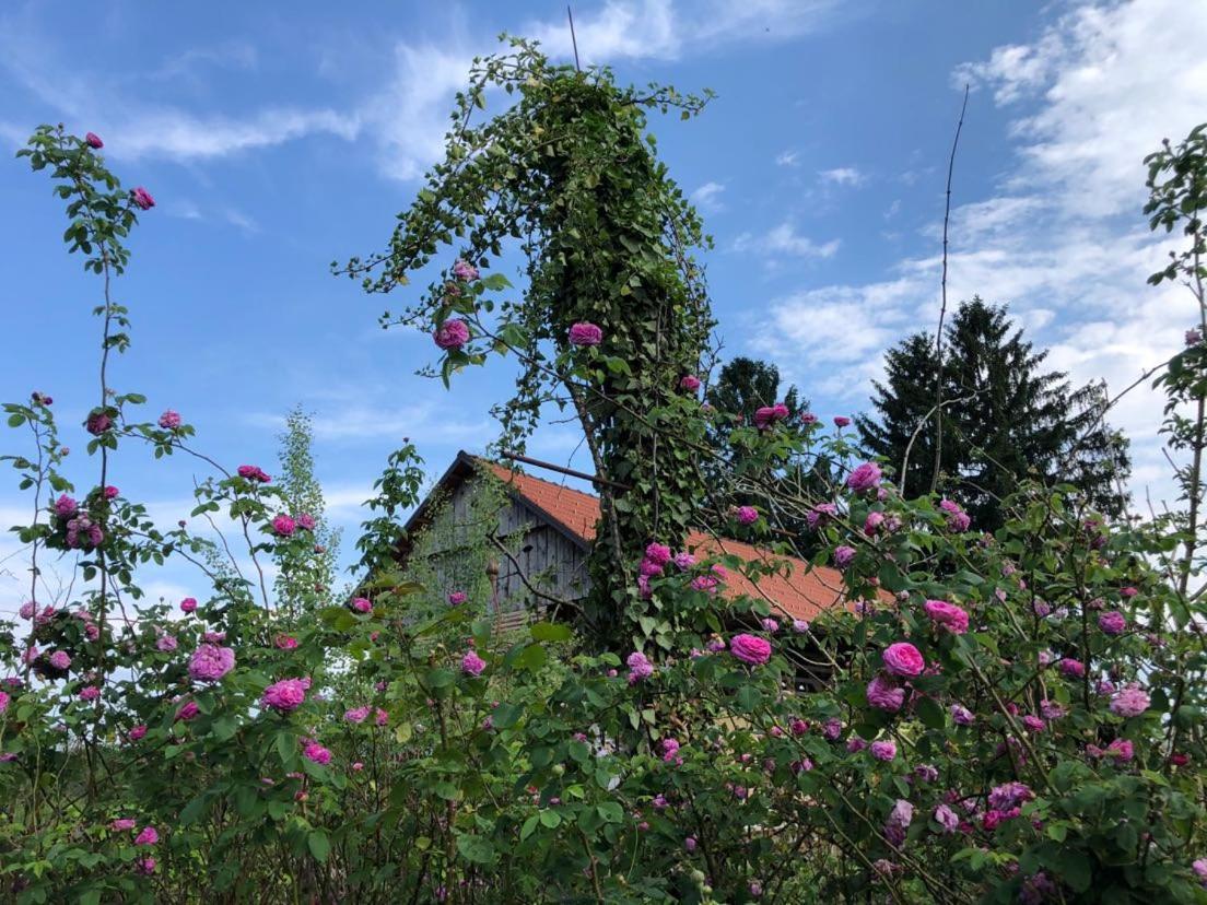 Edenski Vrt Ivancna Gorica Buitenkant foto